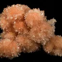 Creedite - image 1