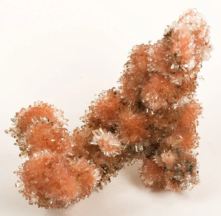 Creedite image