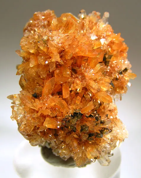 Creedite image