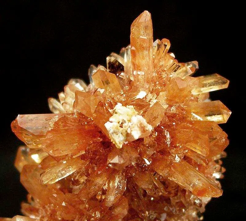 Creedite - image 2
