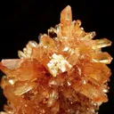 Creedite - image 2