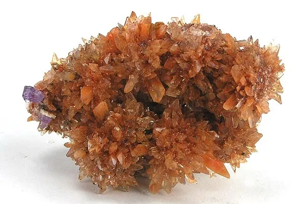 Creedite image