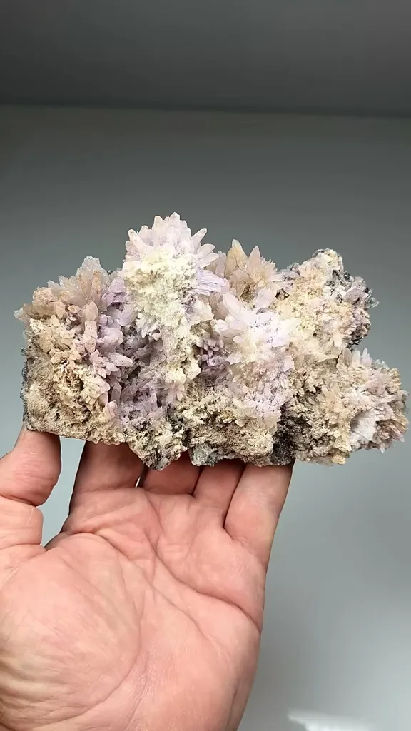 Creedite - image 2