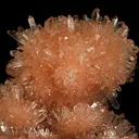 Creedite - image 2
