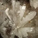Creedite - image 4