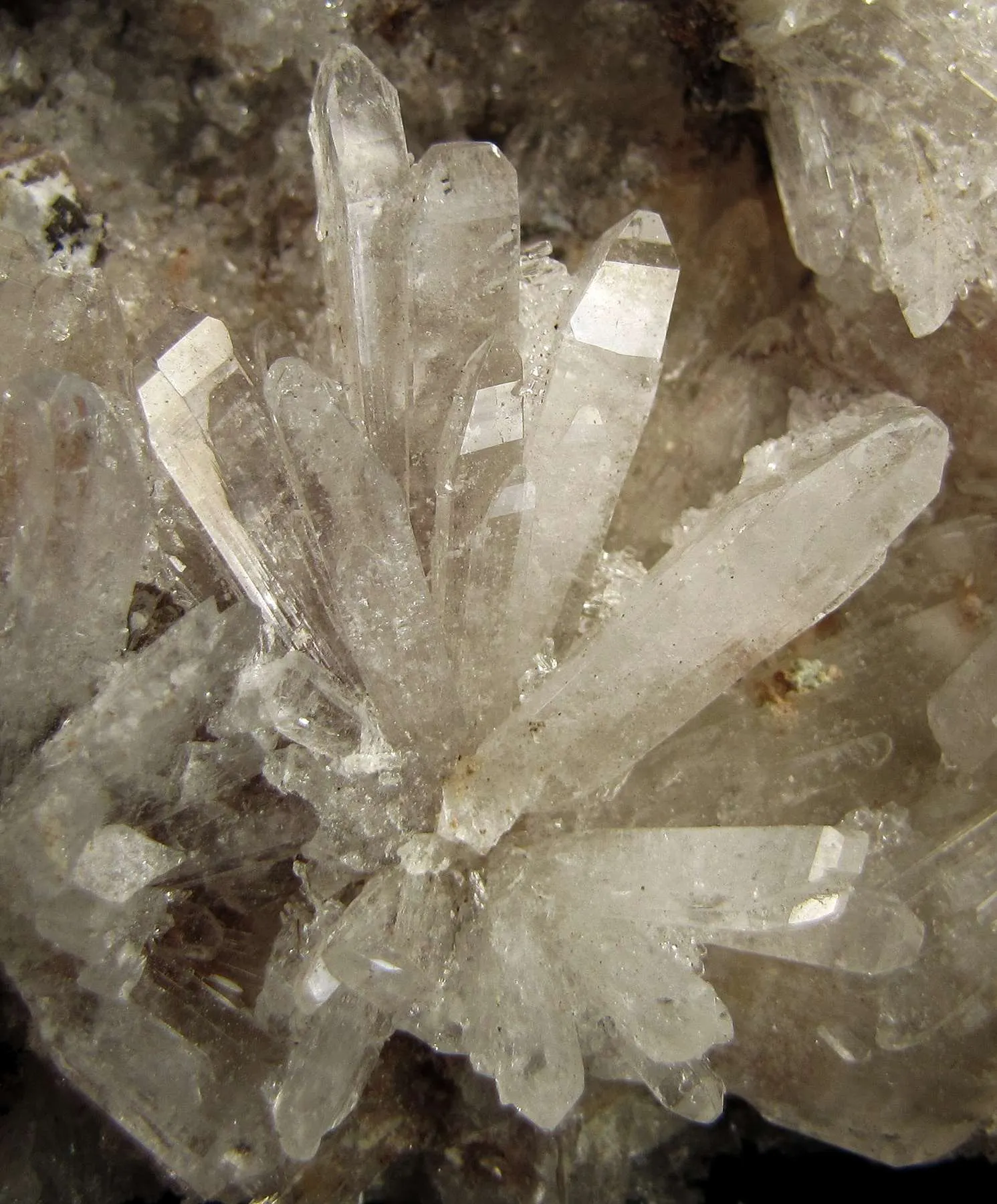 Creedite - image 4