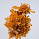 Creedite - image 1