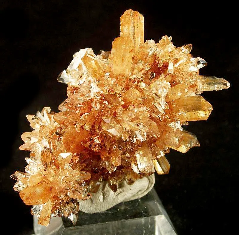 Creedite - image 2