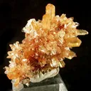 Creedite - image 2
