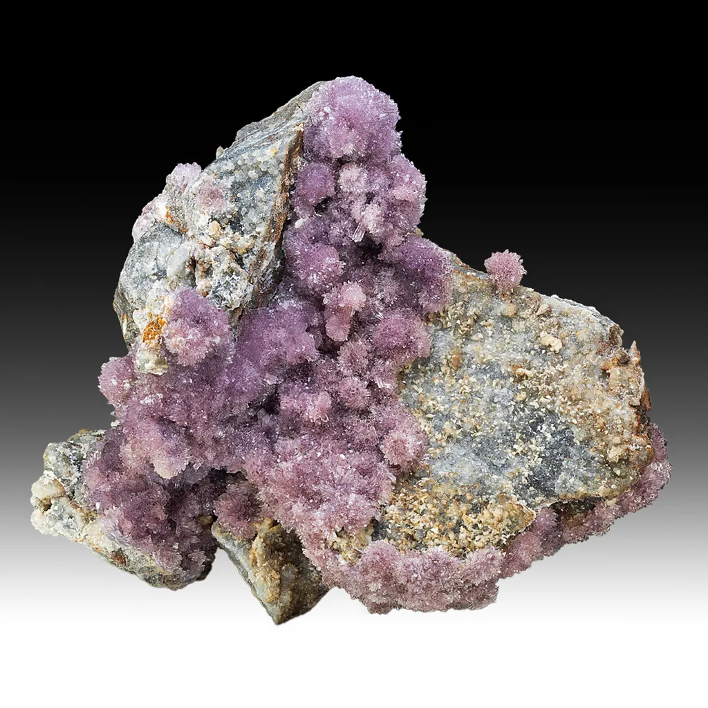Creedite image