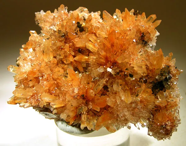 Creedite image