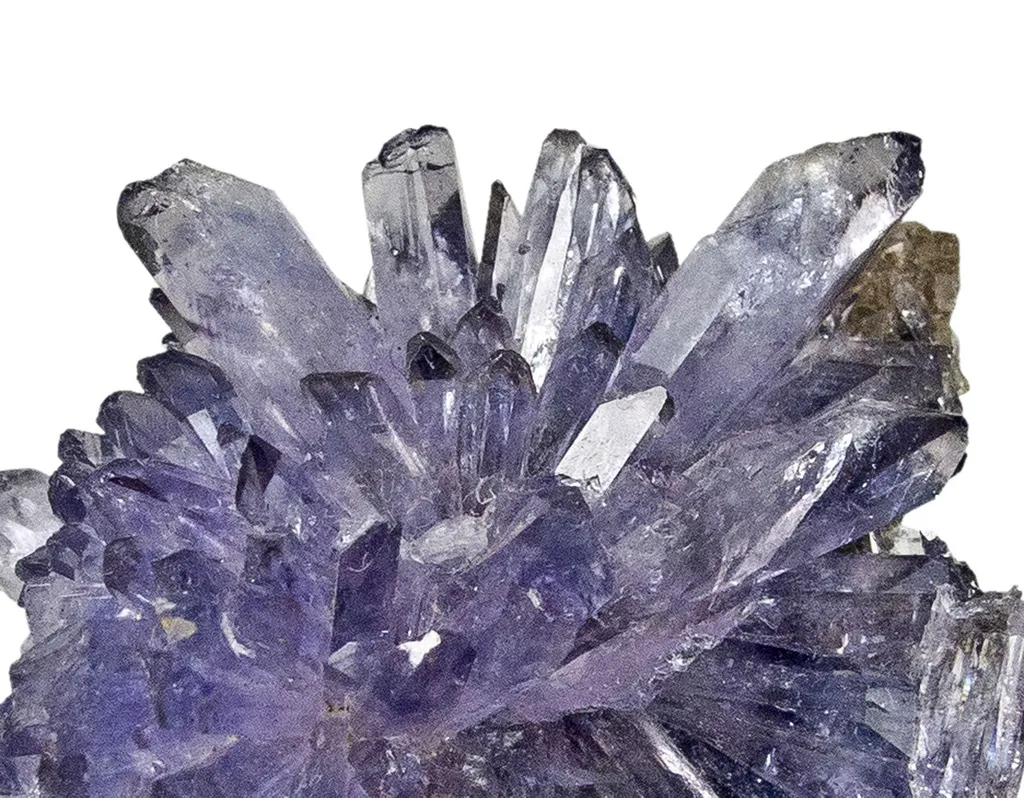 Creedite - image 2