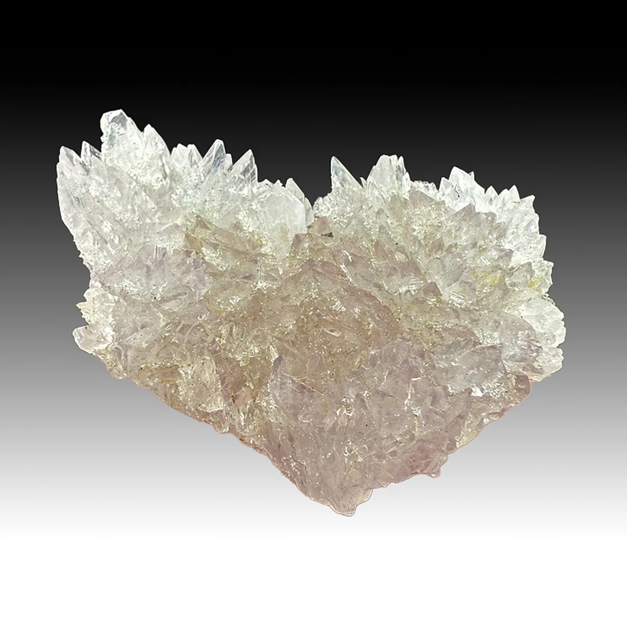 Creedite - image 1