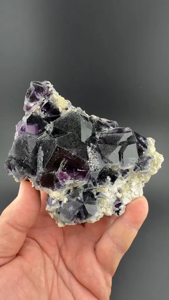 Creedite - image 2