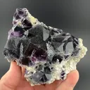 Creedite - image 2