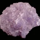Creedite - image 2