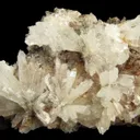 Creedite - image 1