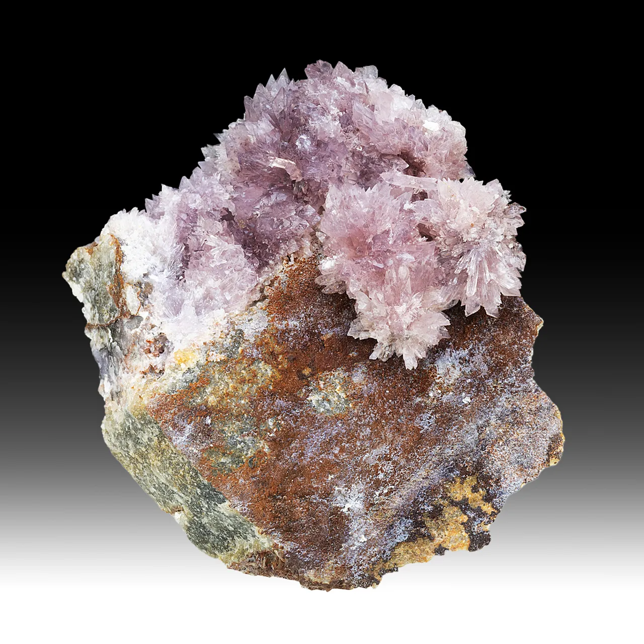 Creedite - image 1