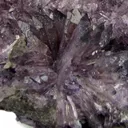 Creedite - image 3