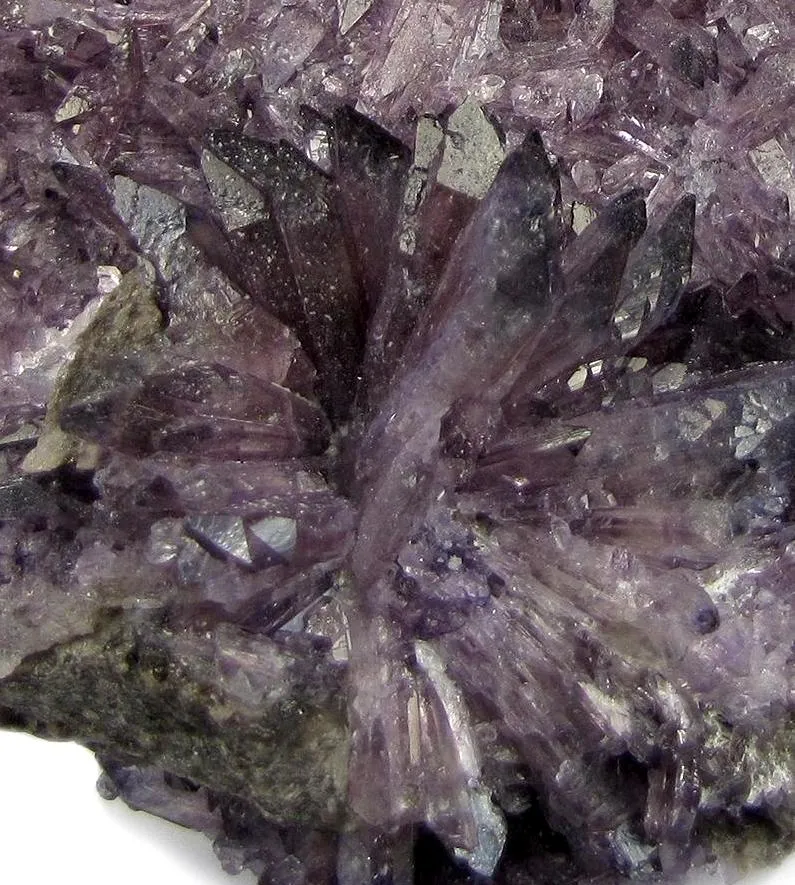 Creedite - image 3