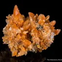 Creedite - image 1