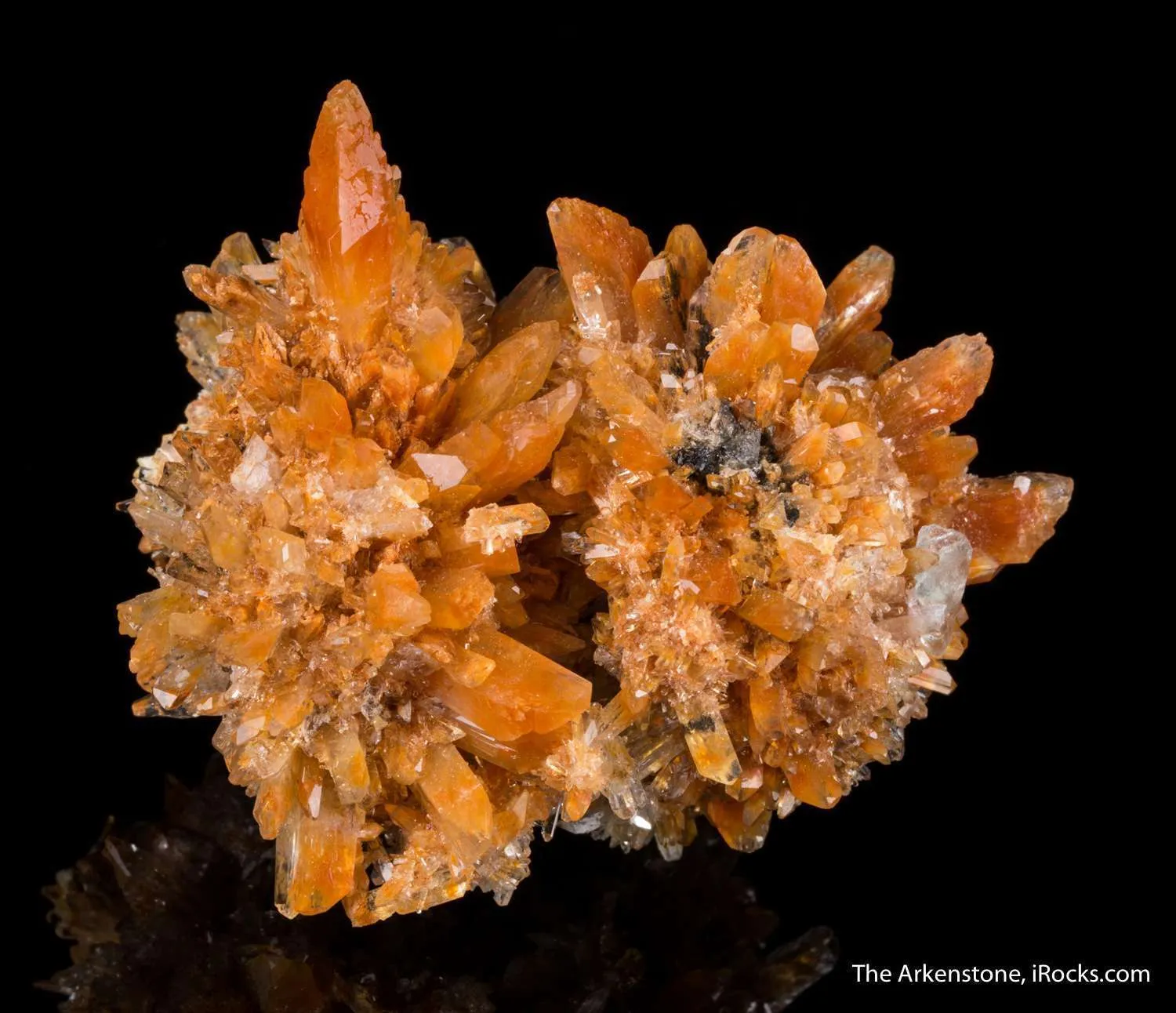 Creedite - image 1