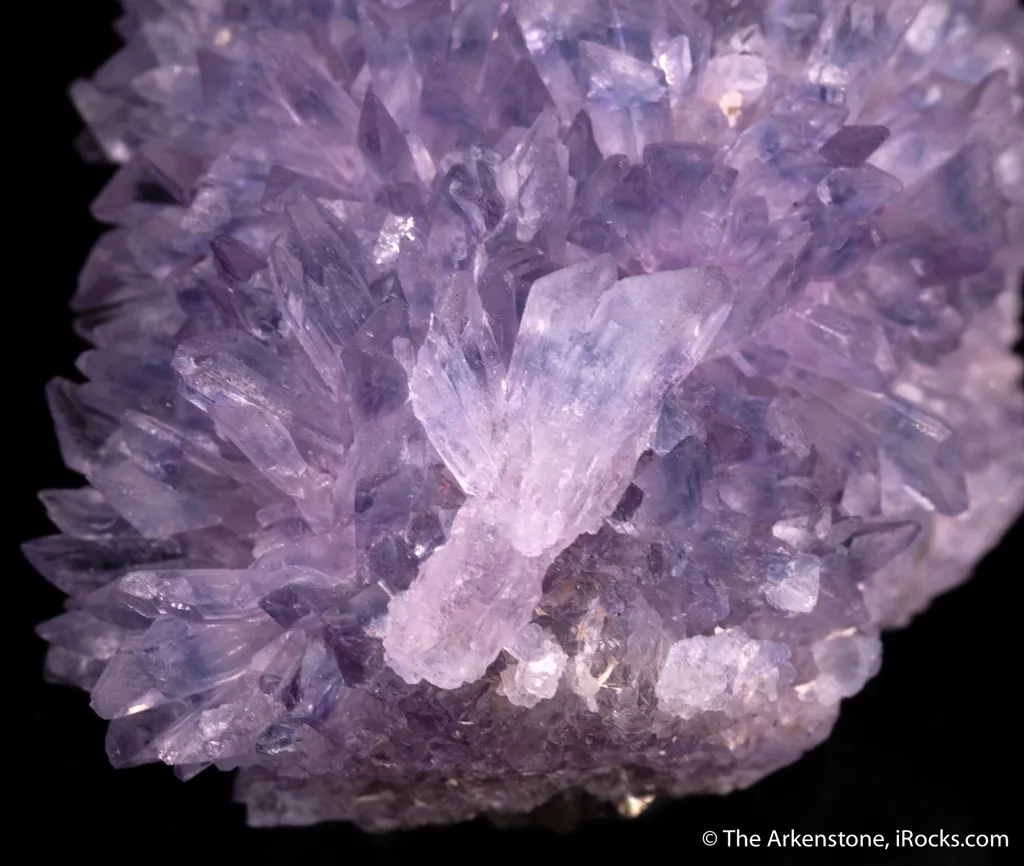 Creedite - image 2