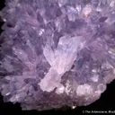 Creedite - image 2