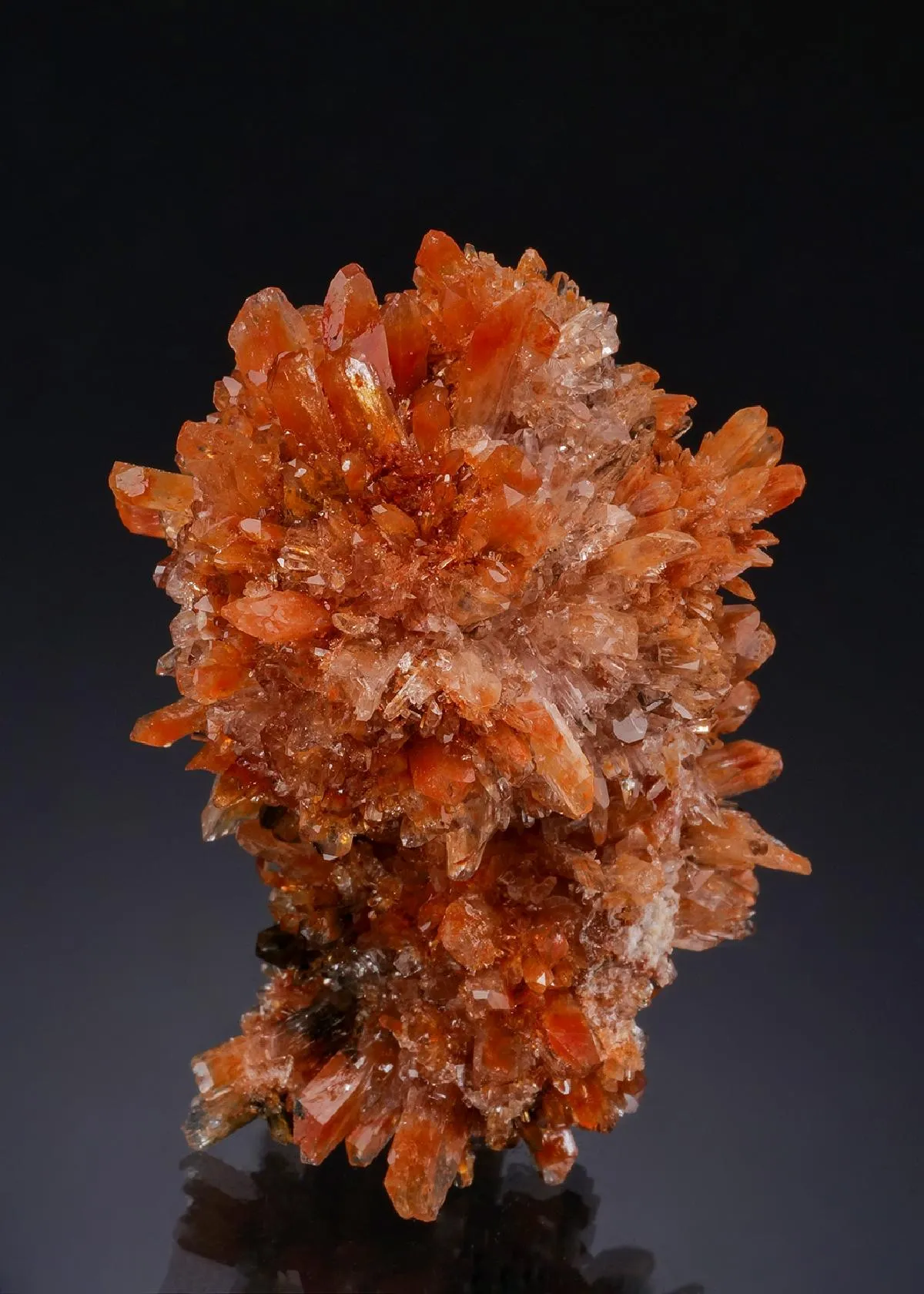 Creedite - image 1
