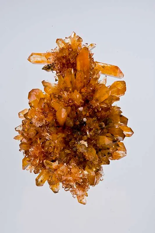 Creedite - image 2
