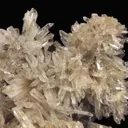 Creedite - image 4