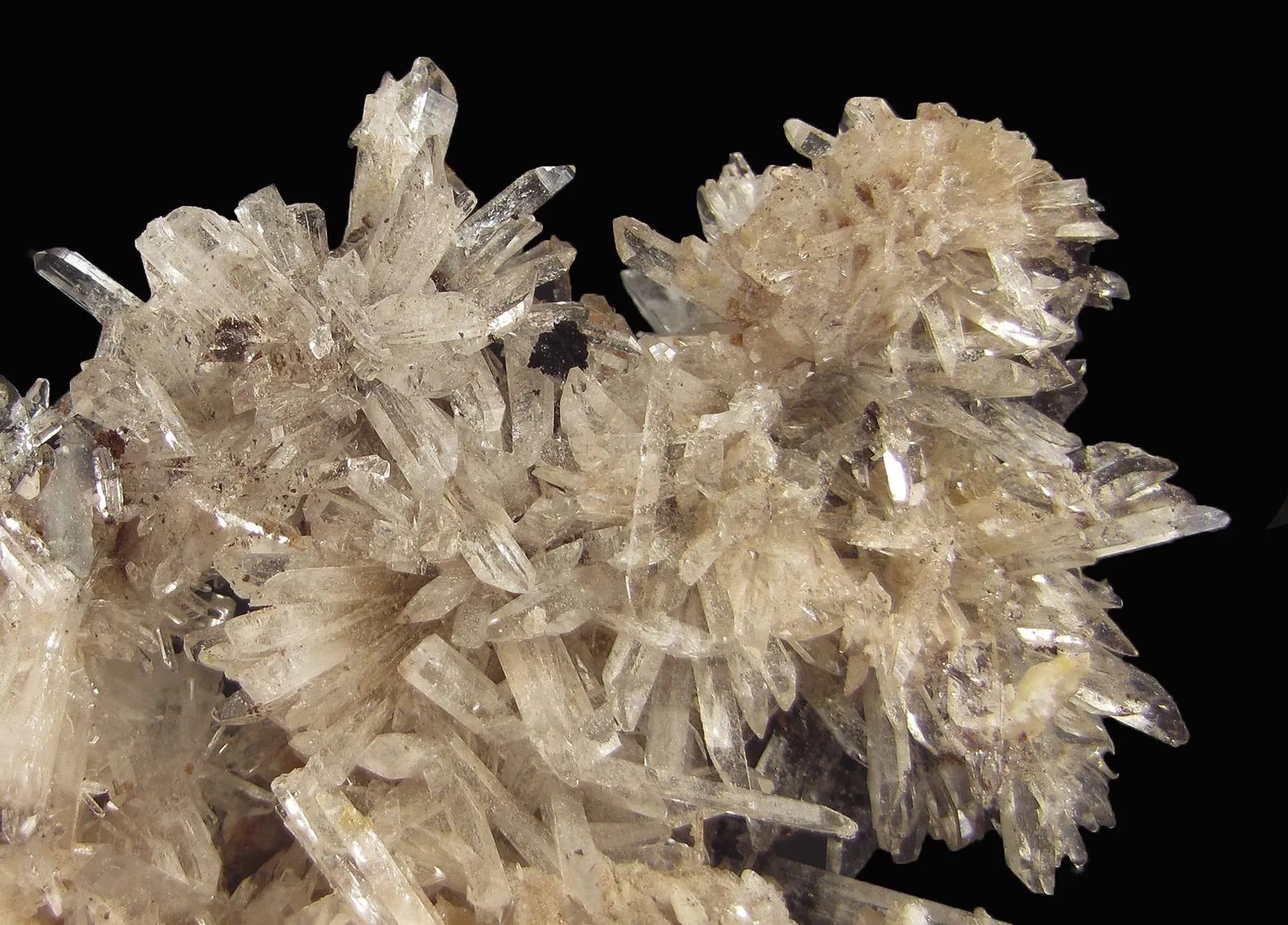 Creedite - image 4