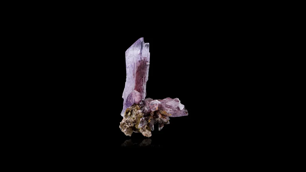 Creedite image