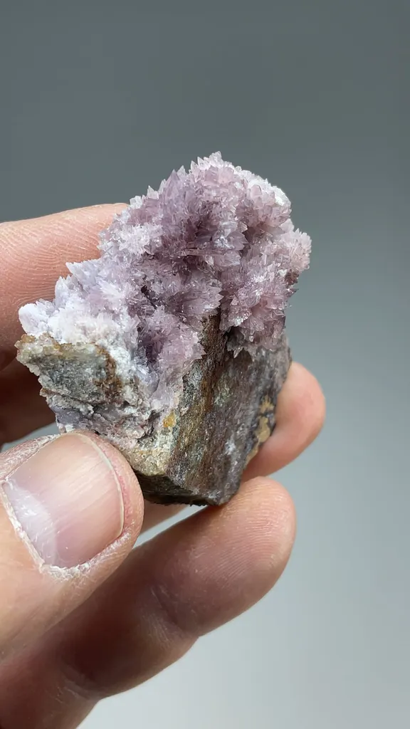 Creedite - image 2
