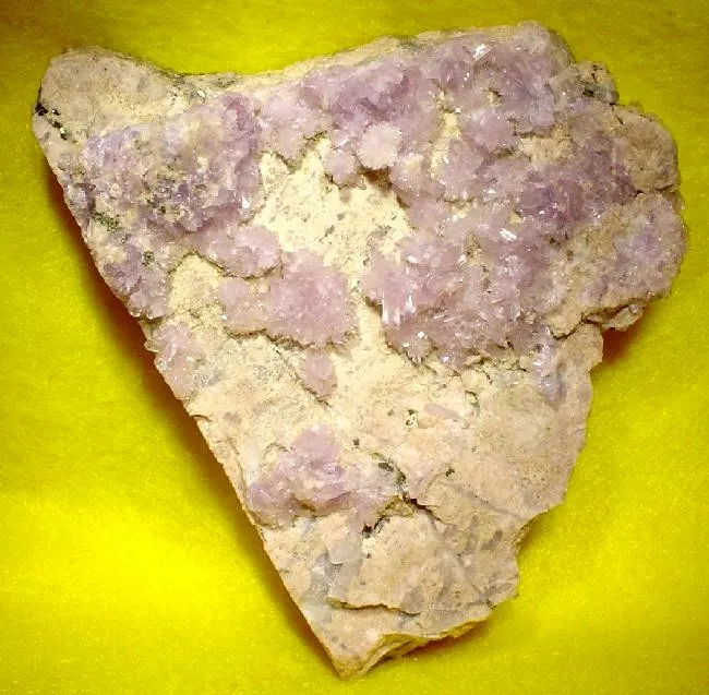 Creedite image