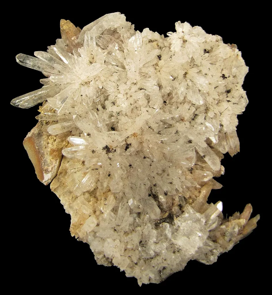 Creedite image