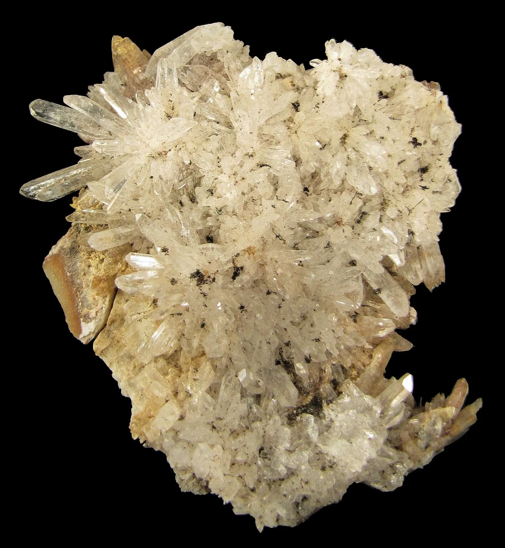 Creedite - image 1