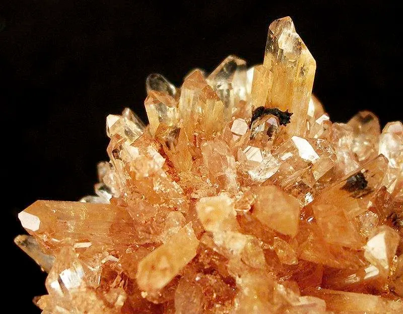 Creedite - image 2