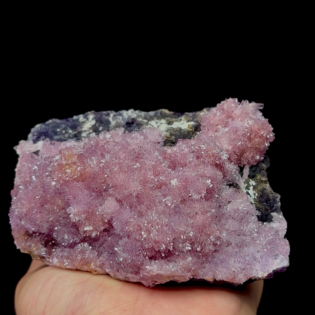 Creedite - image 3