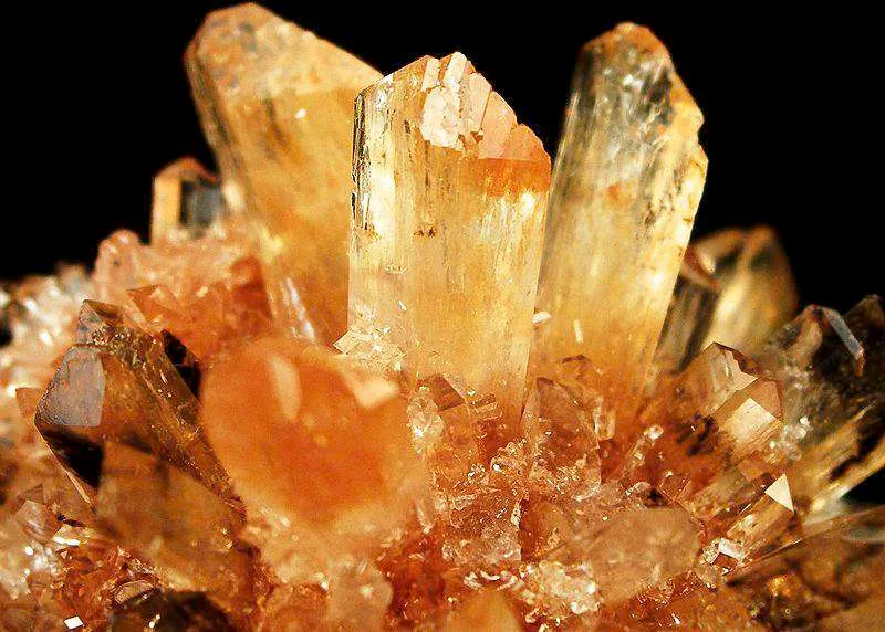 Creedite - image 3