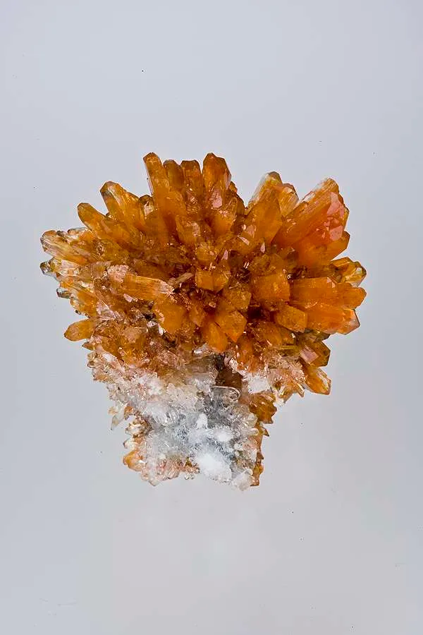 Creedite image