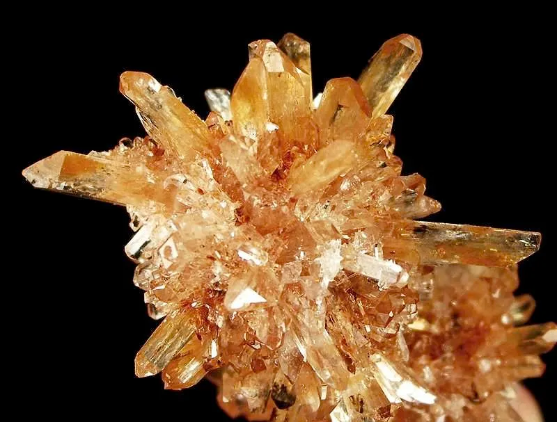 Creedite - image 2
