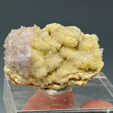 Creedite
