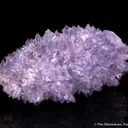 Creedite - image 1