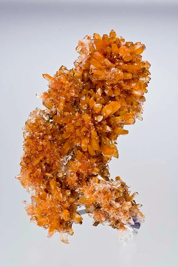 Creedite image
