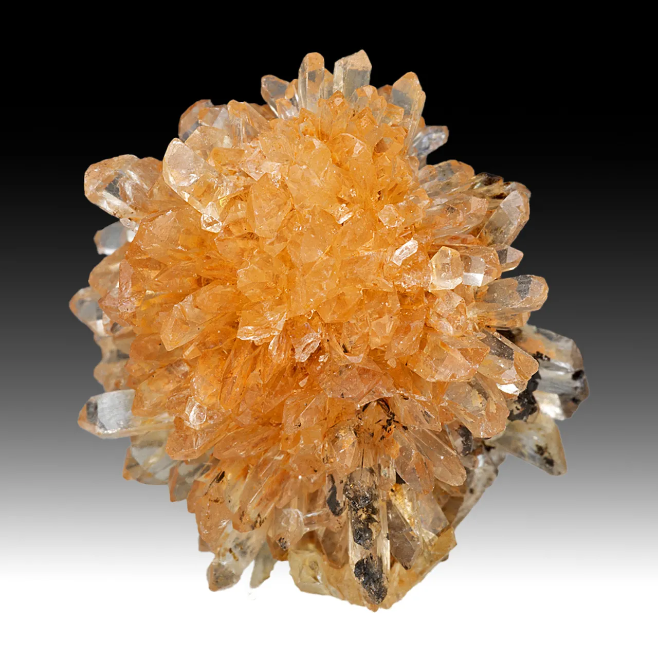 Creedite - image 1