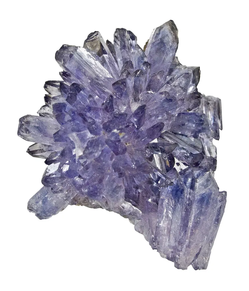Creedite - image 4