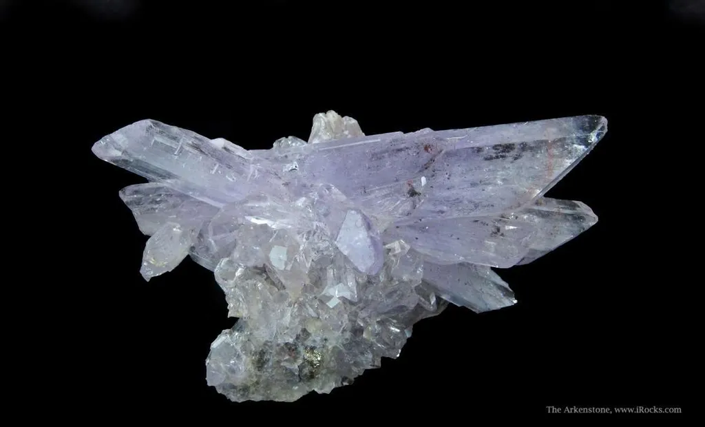 Creedite image