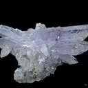 Creedite - image 1