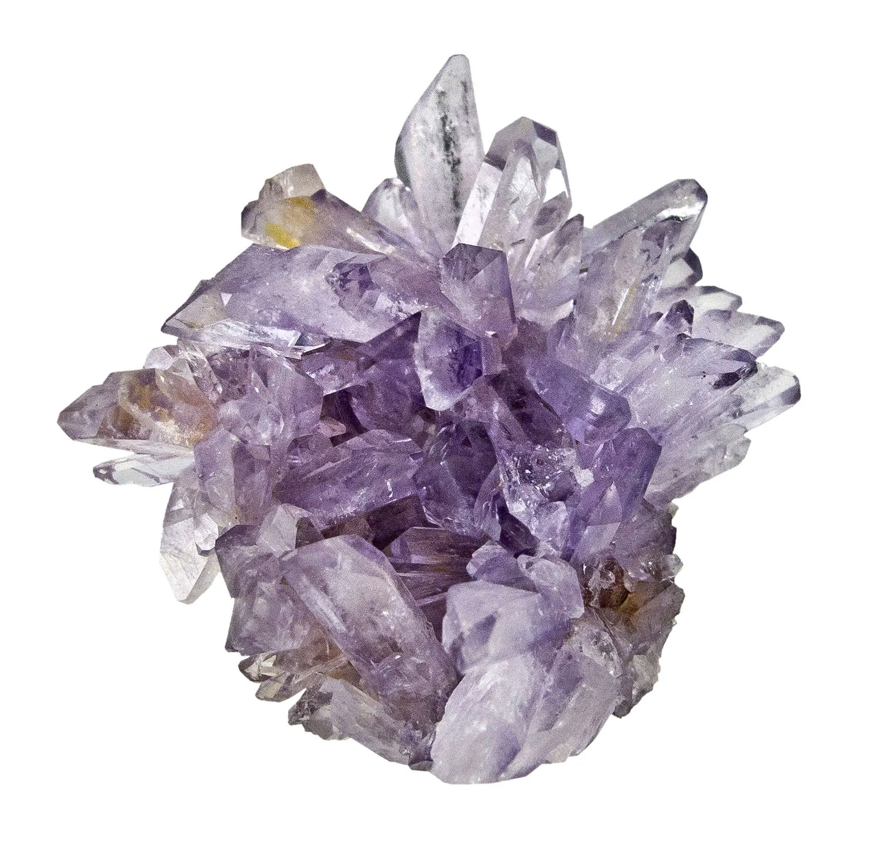 Creedite - image 4